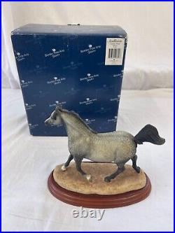Border Fine Arts Country Show Collection'Stallions''Arab' A0731 Boxed Charity Border Fine Arts Country Show Collection'Stallions''Arab' A0731 Boxed Charity