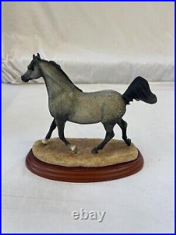 Border Fine Arts Country Show Collection'Stallions''Arab' A0731 Boxed Charity Border Fine Arts Country Show Collection'Stallions''Arab' A0731 Boxed Charity