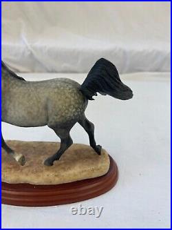 Border Fine Arts Country Show Collection'Stallions''Arab' A0731 Boxed Charity Border Fine Arts Country Show Collection'Stallions''Arab' A0731 Boxed Charity