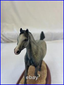 Border Fine Arts Country Show Collection'Stallions''Arab' A0731 Boxed Charity Border Fine Arts Country Show Collection'Stallions''Arab' A0731 Boxed Charity