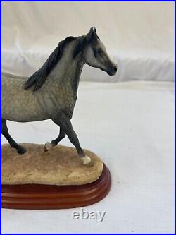Border Fine Arts Country Show Collection'Stallions''Arab' A0731 Boxed Charity Border Fine Arts Country Show Collection'Stallions''Arab' A0731 Boxed Charity