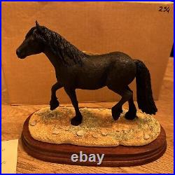 Border Fine Arts Cumbrian Fell Pony Ltd 750 Pieces BNIB