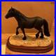 Border-Fine-Arts-Cumbrian-Fell-Pony-Ltd-750-Pieces-BNIB-01-wr