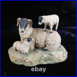 Border Fine Arts D Walton Scottish Black Face Sheep Family 1980s Highland