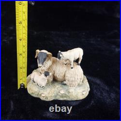Border Fine Arts D Walton Scottish Black Face Sheep Family 1980s Highland