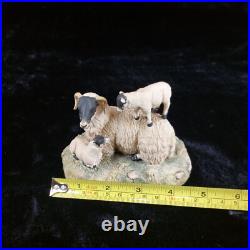 Border Fine Arts D Walton Scottish Black Face Sheep Family 1980s Highland