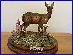 Border Fine Arts Deer'In A Sunny Glade' Model BO255 1998