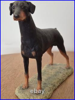 Border Fine Arts Doberman Pinscher Dog Figurine Scotland c. 1982 Ayres