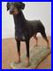 Border-Fine-Arts-Doberman-Pinscher-Dog-Figurine-Scotland-c-1982-Ayres-01-tzzc