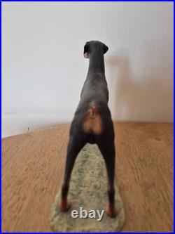 Border Fine Arts Doberman Pinscher Dog Figurine Scotland c. 1982 Ayres