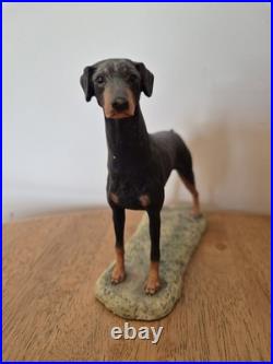 Border Fine Arts Doberman Pinscher Dog Figurine Scotland c. 1982 Ayres