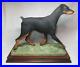 Border-Fine-Arts-Doberman-Pinscher-Limited-Edition-Dog-Resin-Figure-84-500-1986-01-peit