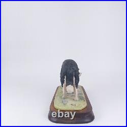 Border Fine Arts Dog Figurine F Waugh 1987 Rare Collectible Scotland Collie