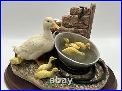 Border Fine Arts Ducks'Staying Cool' James Herriot B0440 1999 by Kirsty