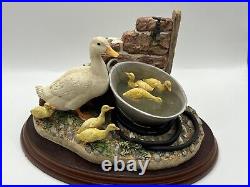 Border Fine Arts Ducks'Staying Cool' James Herriot B0440 1999 by Kirsty