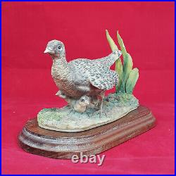 Border Fine Arts Dumfriesshire Scotland Female Pheasant & Chicks (Detached Tail)