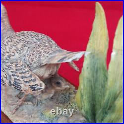 Border Fine Arts Dumfriesshire Scotland Female Pheasant & Chicks (Detached Tail)