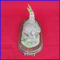 Border Fine Arts Dumfriesshire Scotland Female Pheasant & Chicks (Detached Tail)