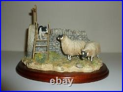 Border Fine Arts ELEMENT OF SURPRISE Sheep, Border Collie