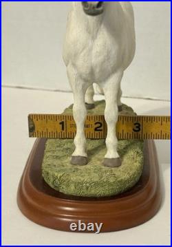 Border Fine Arts ENESCO Gray Welsh Pony Horse Figurine