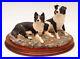 Border-Fine-Arts-Eager-to-Learn-Collie-Dogs-Figurine-BO589-Signed-M-Turner-2000-01-wiyb
