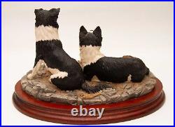 Border Fine Arts Eager to Learn Collie Dogs Figurine BO589 Signed M Turner 2000