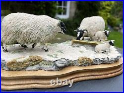 Border Fine Arts Early Lambs, Late Snow (Sheep and lambs) Model 113 Ray Ayres