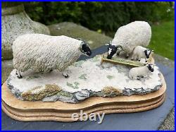 Border Fine Arts Early Lambs, Late Snow (Sheep and lambs) Model 113 Ray Ayres