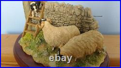 Border Fine Arts'Element Of Surprise' Border Collie And Sheep Model No B0089