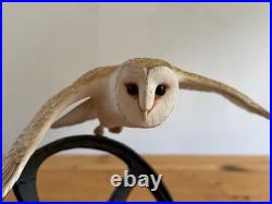 Border Fine Arts Evening Flight Barn Owl Limited Edition Figurine