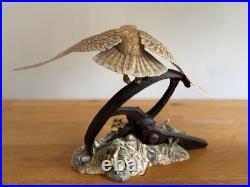 Border Fine Arts Evening Flight Barn Owl Limited Edition Figurine
