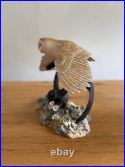 Border Fine Arts Evening Flight Barn Owl Limited Edition Figurine