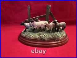 Border Fine Arts Ewedini A0907 Excellent Condition