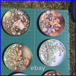 Border Fine Arts Festival of Flower Fairies Plates x 11