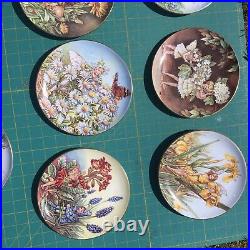 Border Fine Arts Festival of Flower Fairies Plates x 11