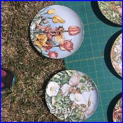 Border Fine Arts Festival of Flower Fairies Plates x 11