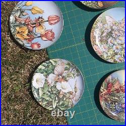 Border Fine Arts Festival of Flower Fairies Plates x 11