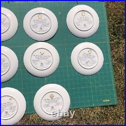 Border Fine Arts Festival of Flower Fairies Plates x 11