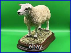 Border Fine Arts Figurine Texel Ram #B0530 Boxed A1 Condition 20cm Tall COA