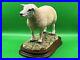 Border-Fine-Arts-Figurine-Texel-Ram-B0530-Boxed-A1-Condition-20cm-Tall-COA-01-jdy