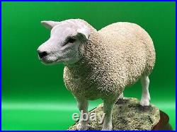 Border Fine Arts Figurine Texel Ram #B0530 Boxed A1 Condition 20cm Tall COA