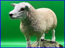 Border Fine Arts Figurine Texel Ram #B0530 Boxed A1 Condition 20cm Tall COA