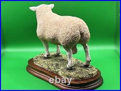 Border Fine Arts Figurine Texel Ram #B0530 Boxed A1 Condition 20cm Tall COA