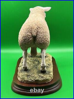 Border Fine Arts Figurine Texel Ram #B0530 Boxed A1 Condition 20cm Tall COA