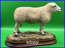 Border Fine Arts Figurine Texel Ram #B0530 Boxed A1 Condition 20cm Tall COA