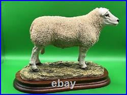 Border Fine Arts Figurine Texel Ram #B0530 Boxed A1 Condition 20cm Tall COA