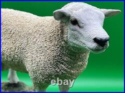 Border Fine Arts Figurine Texel Ram #B0530 Boxed A1 Condition 20cm Tall COA