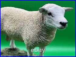 Border Fine Arts Figurine Texel Ram #B0530 Boxed A1 Condition 20cm Tall COA