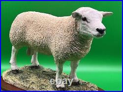 Border Fine Arts Figurine Texel Ram #B0530 Boxed A1 Condition 20cm Tall COA