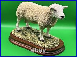 Border Fine Arts Figurine Texel Ram #B0530 Boxed A1 Condition 20cm Tall COA